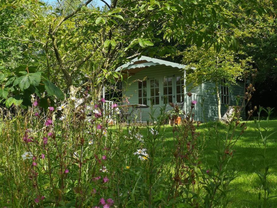 Red Squirrel Holiday Home In The Countryside, 10 Mins To Lligwy Beach Llandyfrydog エクステリア 写真