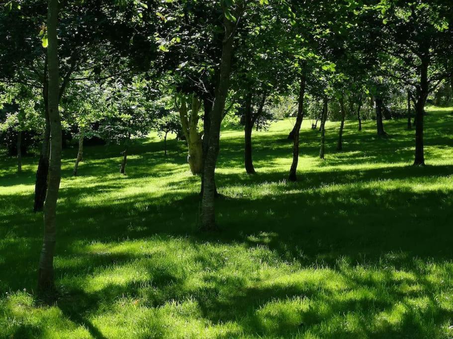 Red Squirrel Holiday Home In The Countryside, 10 Mins To Lligwy Beach Llandyfrydog エクステリア 写真
